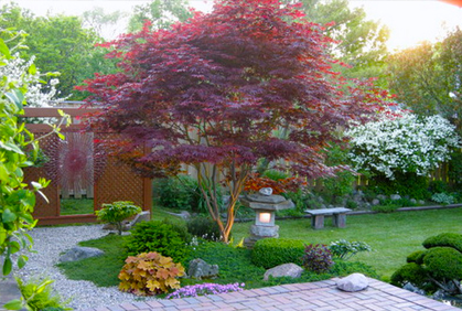 Pictures of cheap and easy landscaping designs ideas and photos