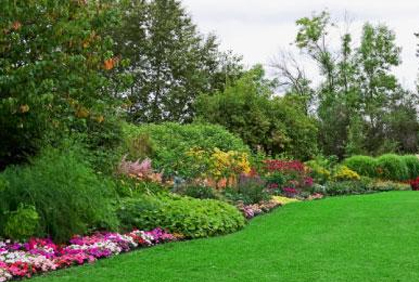 Top 2015 home gardening design ideas photos and diy makeovers