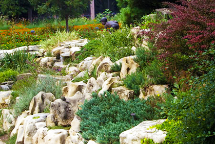 Simple Landscaping with Rocks and Stones Design Ideas Simple landscaping with rocks and stones designs ideas pictures and diy plans