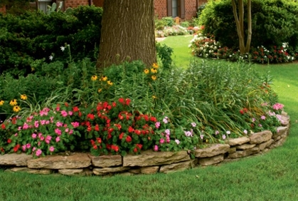 Best full shade loving plants landscaping Design Ideas Best full shade loving plants for landscaping designs ideas pictures and diy plans