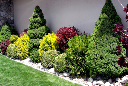 Landscaping with Shrubs and Bushes Photos and Design Ideas DIY landscaping with shrubs and bushes designs ideas and online 2015 photo gallery