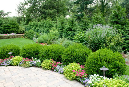 Landscaping with Shrubs and Bushes Pictures and Easy Design Ideas Pictures of landscaping with shrubs and bushes designs ideas and photos