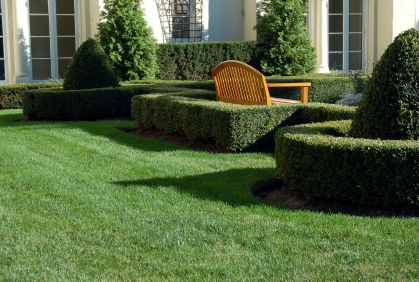Simple Landscaping with Shrubs and Bushes Design Ideas Simple landscaping with shrubs and bushes designs ideas pictures and diy plans