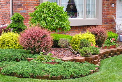 Best Types of Shrubs and Bushes for landscape Design Ideas Best types of shrubs and bushes landscape designs ideas pictures and diy plans