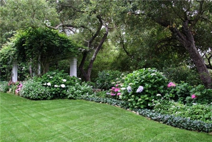 Simple Types of Shrubs and Bushes for landscape Design Ideas Simple types of shrubs and bushes landscape designs ideas pictures and diy plans