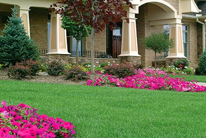 Shrubs and Bushes for Landscaping Pictures Pictures and Easy Design Ideas Pictures of shrubs and bushes for landscaping pictures designs ideas and photos