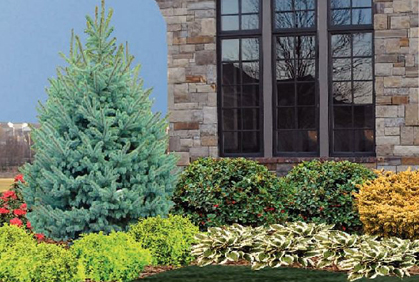 Best free Landscaping software programs Photos and Design Ideas Design Ideas DIY landscaping software freeware downloads designs ideas and online photo gallery