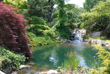 Best Best Trees for Landscaping Design Ideas Best best trees for landscaping plans photos designs ideas pictures and diy plans