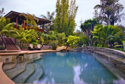 Top 2015 Best Trees for Landscaping Ideas Top 2015 best trees for landscaping plans photos design ideas photos and diy makeovers