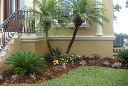 Popular Best Trees for Landscaping Design Plans Most popular best trees for landscaping plans photos pictures with DIY design ideas and DIY plans