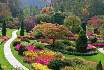 Best Trees for Landscaping Photos and Design Ideas DIY best trees for landscaping plans photos designs ideas and online 2015 photo gallery