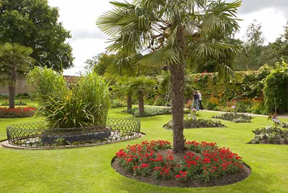 Best Trees for Landscaping Pictures and Easy Design Ideas Pictures of best trees for landscaping plans photos designs ideas and photos