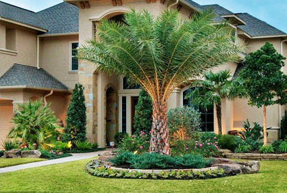 Simple Best Trees for Landscaping Design Ideas Simple best trees for landscaping plans photos designs ideas pictures and diy plans