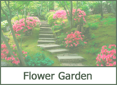Flower Garden Ideas