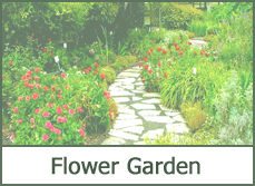 Flower Garden Ideas
