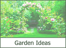 Backyard Garden Designs Ideas Backyard Garden Designs Ideas