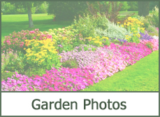Garden Designs Pictures