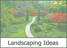 landscape border edging