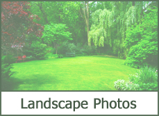 Simple Landscaping Ideas Simple Landscaping Ideas