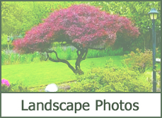 Landscape Photo Gallery Landscape Photo Gallery