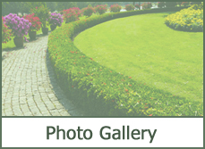 Landscape Designs 2016 Landscape Designs 2016